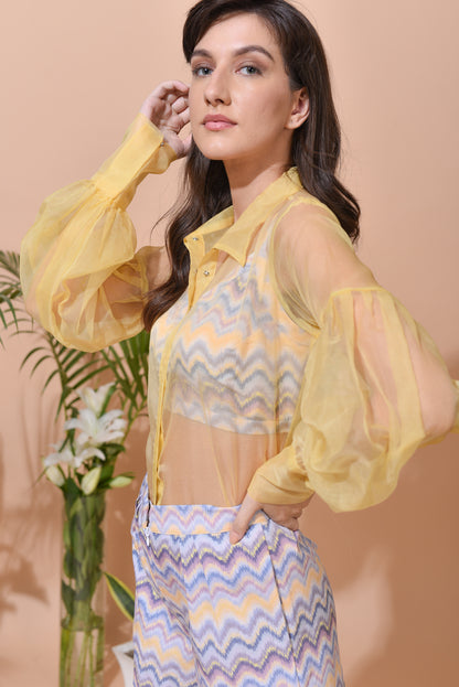 Aria Organza Balloon Sleeve Shirt